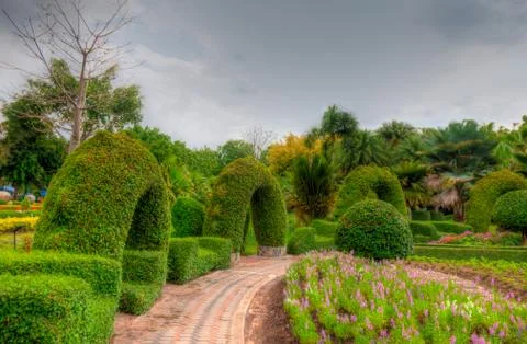 Garden Stock Photos
