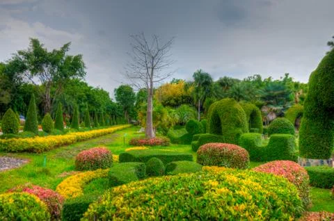 Garden Stock Photos