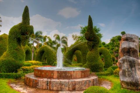 Garden Stock Photos
