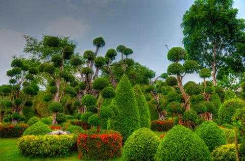 Garden Stock Photos