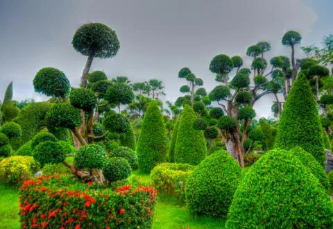 Garden Foto stock