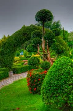 Garden Stock Photos