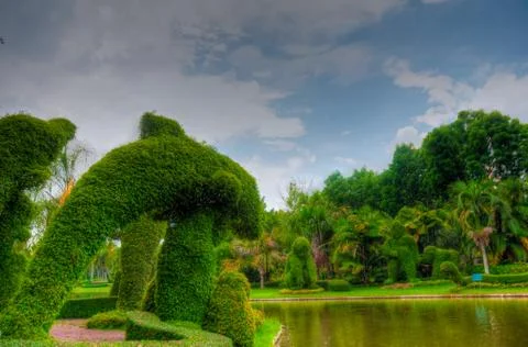Garden Stock Photos