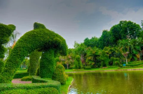 Garden Stock Photos