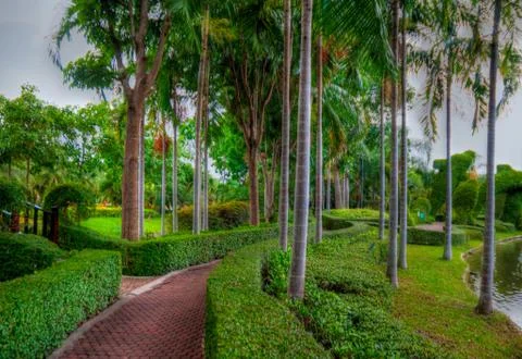 Garden Stock Photos