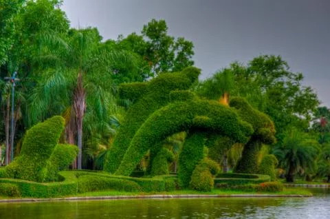 Garden Stock Photos