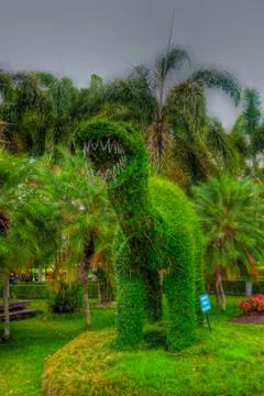 Garden Stock Photos