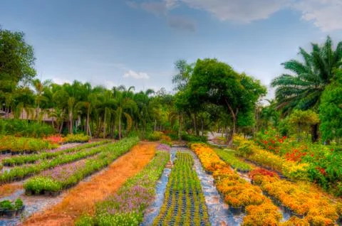 Garden Stock Photos