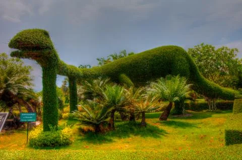 Garden Stock Photos