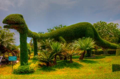 Garden Stock Photos