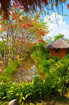 Garden Foto stock