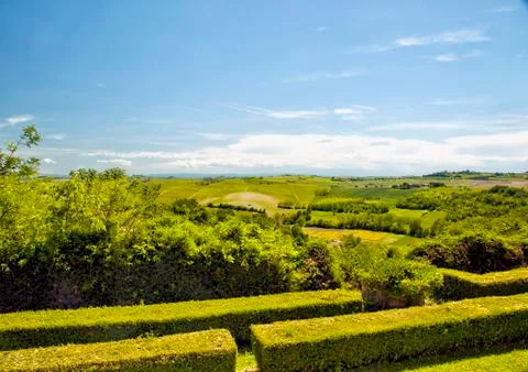 Garden Foto stock
