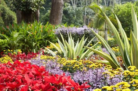 Garden Stock Photos
