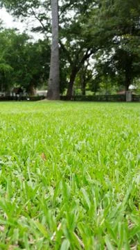 Garden Stock Photos