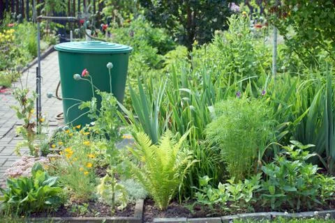Garden Stock Photos