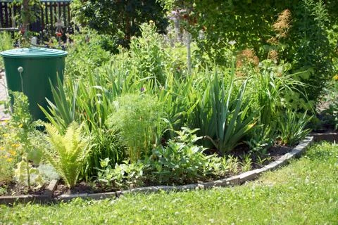 Garden Stock Photos
