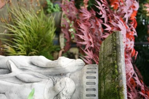 Garden Stock Photos