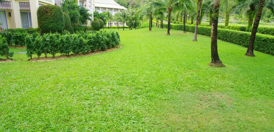 Garden Foto stock
