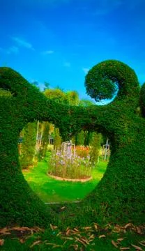 Garden Foto stock