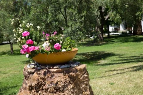 Garden Stock-Fotos
