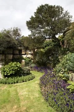 Garden Stock Photos