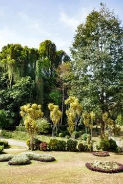 Garden Stock Photos