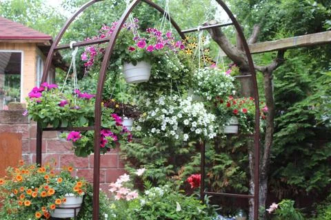 GARDEN Stock Photos
