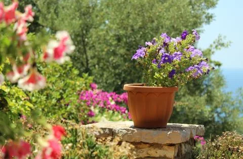 Garden 스톡 사진