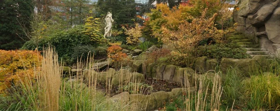 A garden Fotos Stock