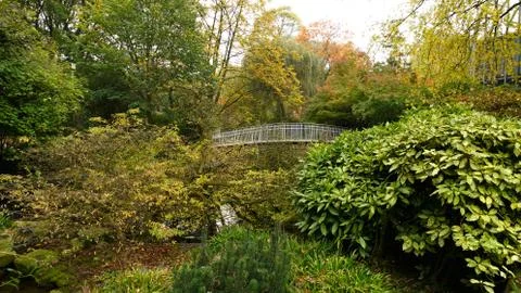 A garden. 写真素材