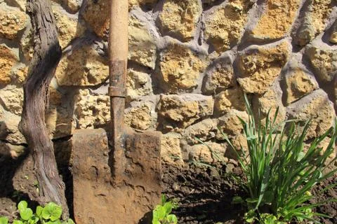 Garden Stock Photos