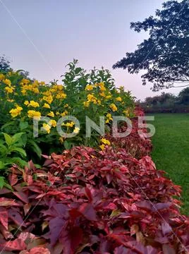 Garden Stock Photos