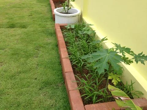 Garden Stock Photos