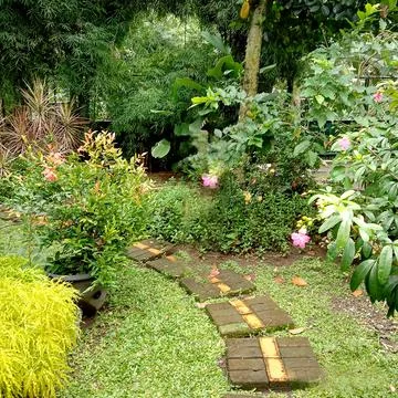 Garden Foto stock