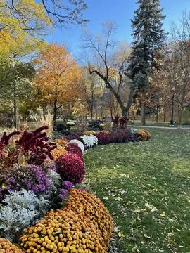Garden 스톡 사진