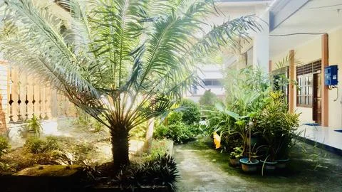 The garden Stock Photos