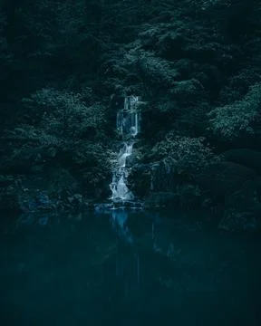 The Garden Foto stock