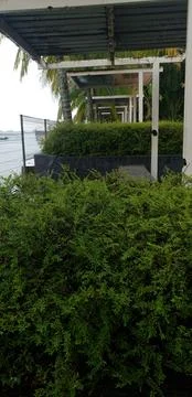 Garden 写真素材