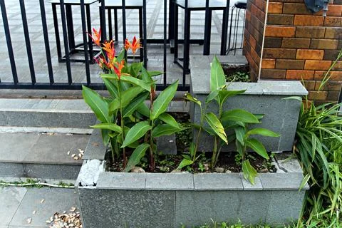 The Garden Stock Photos