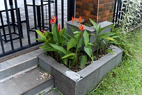 The Garden Stock Photos