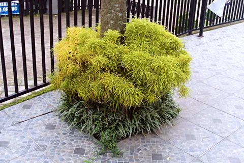 The Garden Stock Photos