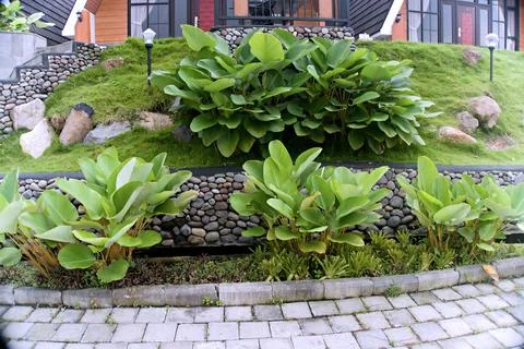 The Garden Stock Photos