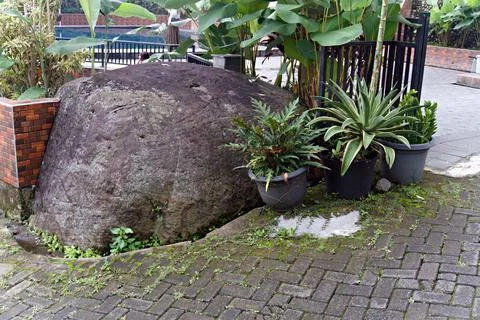 The Garden Stock Photos