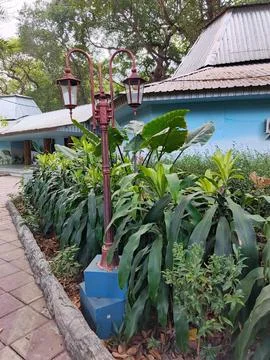 Garden Stock Photos