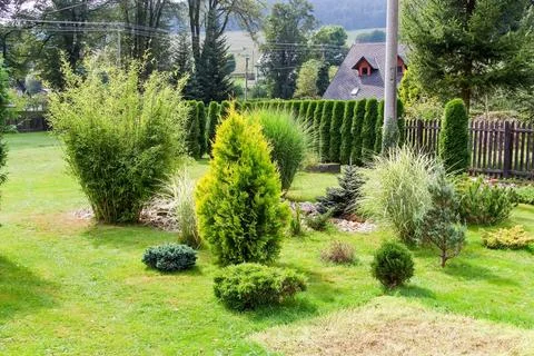 Garden Stock Photos