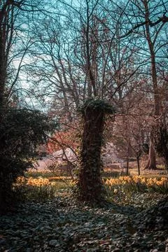 A garden Stock-Fotos