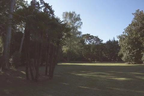 Garden 스톡 사진