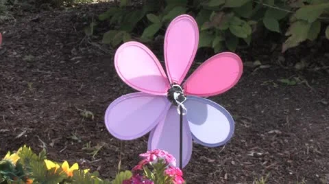 Garden Pinwheel Stock Footage 8861473