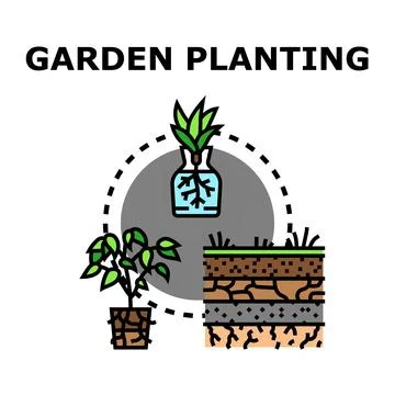 Garden planting process developing new plants Ilustración de archivo