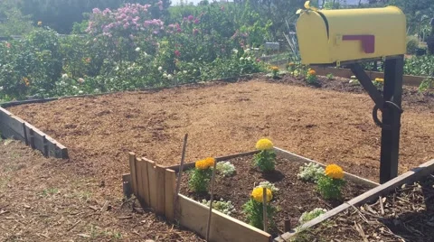 Garden plot with a cute yellow mailbox and flowers, shot in 4k Vídeos de archivo 63106954
